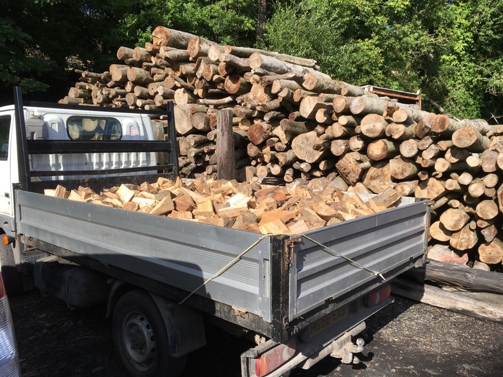 Logs & Kindling