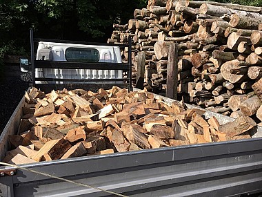 Loose seasoned hardwood logs.